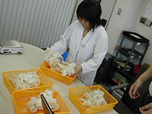 image_research3 image_research3